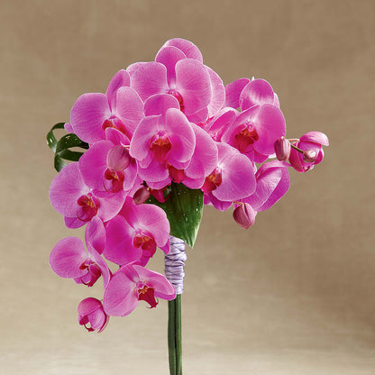 Glorious Bouquet –  Lansing Gardens, Lansing MI