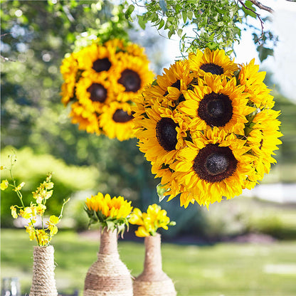 Sublime Garden Hanging Arrangement –  Lansing Gardens, Lansing MI