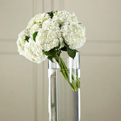 White Hydrangea Hand-Tied Bouquet –  Lansing Gardens, Lansing MI