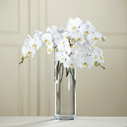 White Phalaenopsis Bouquet –  Lansing Gardens, Lansing MI