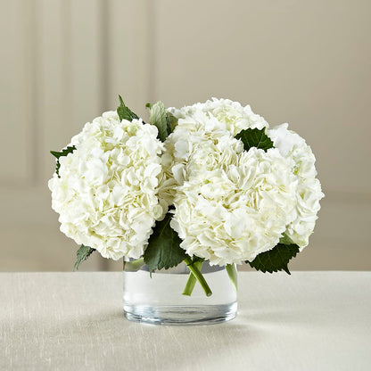 White Hydrangea Bouquet –  Lansing Gardens, Lansing MI